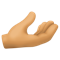 Palm Up Hand- Medium Skin Tone emoji on Facebook